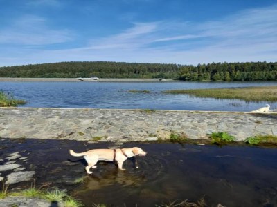 Holiday house Ferienhaus in Vogtland - Environment photo 19