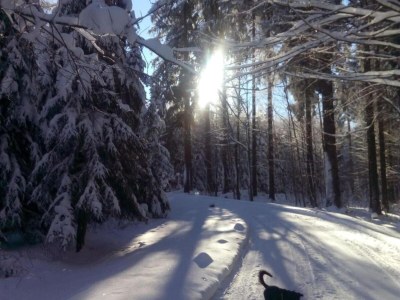 Holiday house Ferienhaus in Vogtland - Environment photo 21