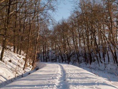 Holiday house Ferienhaus in Vogtland - Environment photo 22