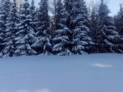 Holiday house Ferienhaus in Vogtland - Environment photo 23