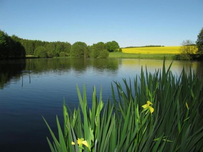 Holiday house Ferienhaus in Vogtland - Environment photo 24