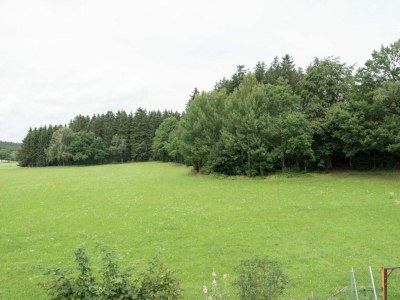 Holiday house Ferienhaus in Vogtland - Environment photo 25