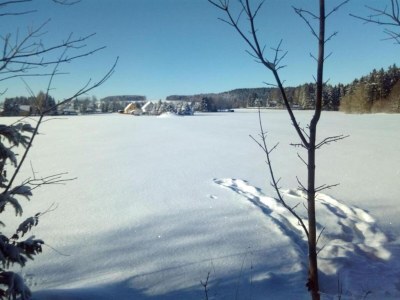 Holiday house Ferienhaus in Vogtland - Environment photo 28