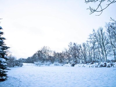 Holiday house Ferienhaus in Vogtland - Environment photo 30