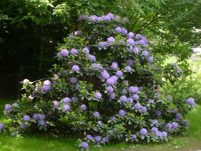 Holiday house Ferienhaus in Vogtland - Outdoor photo 31