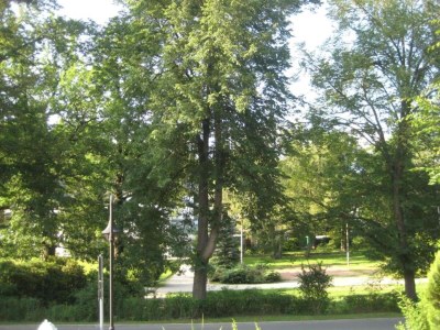 Apartment Natur-Retreat in Bad Elster - Environment photo 17