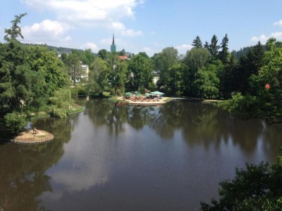 Apartment Natur-Retreat in Bad Elster - Environment photo 23