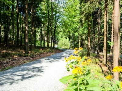 Apartment Natur-Retreat in Bad Elster - Environment photo 29