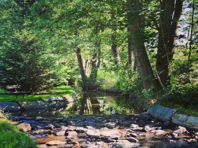 Apartment Natur-Retreat in Bad Elster - Environment photo 31