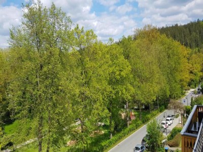 Apartment Natur-Retreat in Bad Elster - Environment photo 35