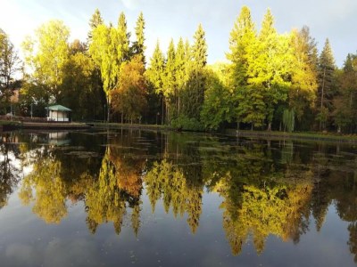 Apartment Natur-Retreat in Bad Elster - Environment photo 37