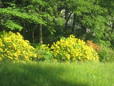Apartment Natur-Retreat in Bad Elster - Environment photo 38