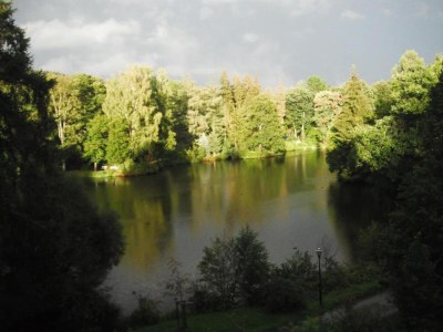 Apartment Natur-Retreat in Bad Elster - Environment photo 39