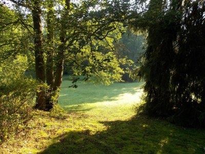 Apartment Natur-Retreat in Bad Elster - Environment photo 40