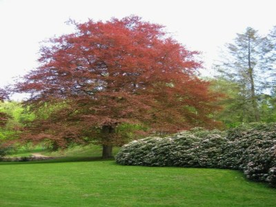 Apartment Stilvolle Ferienwohnung im Vogtland mit Terrasse - Environment photo 27