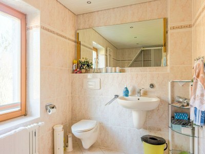 Holiday house Ferienwohnung im Naturpark Erzgebirge - Features photo 13