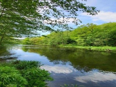 Holiday house Erholsamer Familienurlaub in Oederan - Environment photo 26