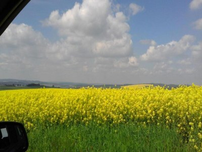 Holiday house Erholsamer Familienurlaub in Oederan - Environment photo 31