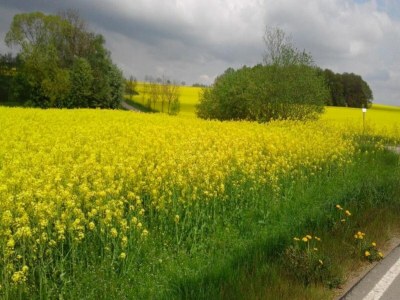 Holiday house Erholsamer Familienurlaub in Oederan - Environment photo 32