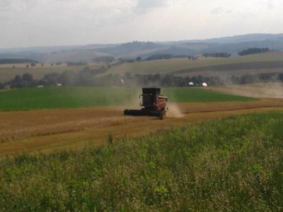 Holiday house Erholsamer Familienurlaub in Oederan - Environment photo 36