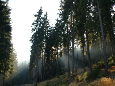 Holiday house Ferienhaus in Rechenberg-Bienemuehle - Environment photo 16