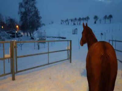 Holiday house Ferienhaus in Rechenberg-Bienemuehle - Environment photo 30