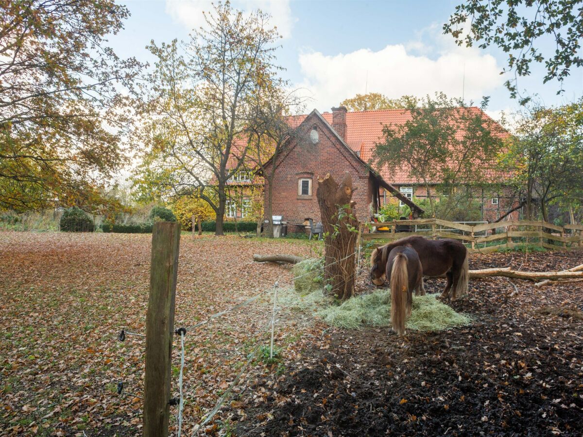 Farmhouse Bauernhaus nahe Langlingen Badesee - Outdoor photo 3