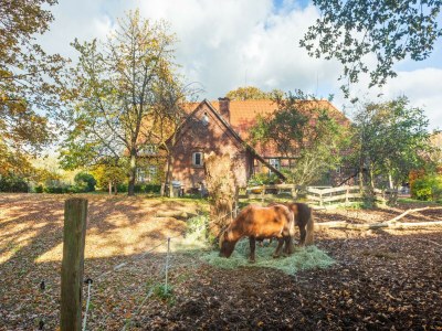 Farmhouse Bauernhaus nahe Langlingen Badesee - Outdoor photo 8