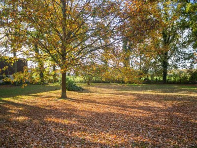 Farmhouse Bauernhaus nahe Langlingen Badesee - Outdoor photo 12
