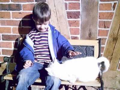 Farmhouse Bauernhaus nahe Langlingen Badesee - Environment photo 30