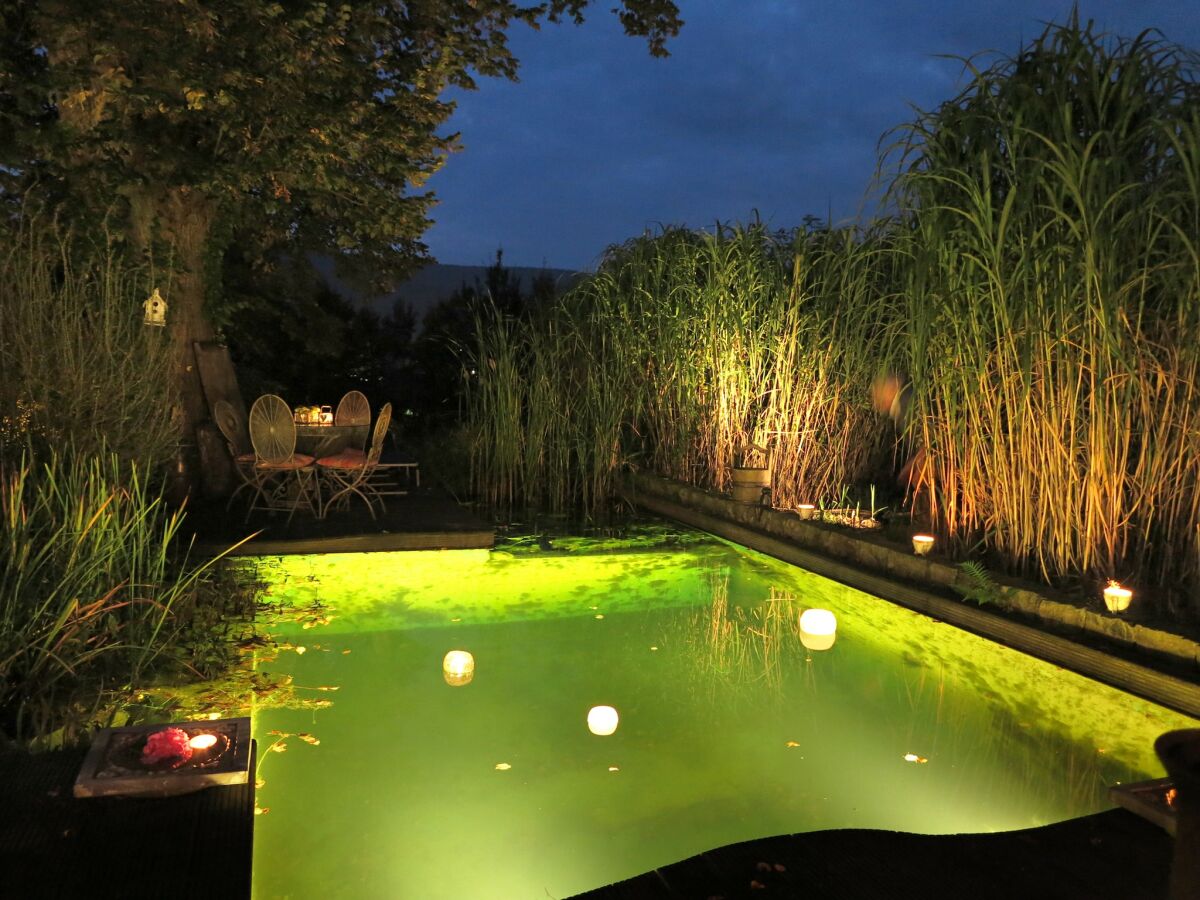 Apartment Ferienwohnung Wintergarten in Bad Pyrmont - Outdoor photo 3