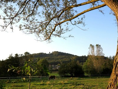 Apartment Ferienwohnung Wintergarten in Bad Pyrmont - Environment photo 31