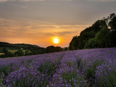 Apartment Wohnung in Nieheim am Waldrand - Environment photo 32