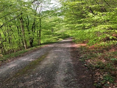 Apartment Wohnung in Nieheim am Waldrand - Environment photo 37