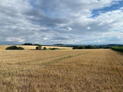 Apartment Wohnung in Nieheim am Waldrand - Environment photo 38