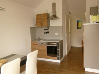 Apartment 2 separate Wohnungen mit Balkon an der Skipiste - Features photo 30