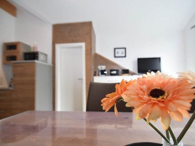 Apartment 2 separate Wohnungen mit Balkon an der Skipiste - Outdoor photo 39