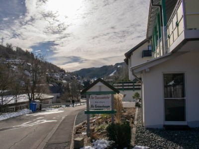 Apartment Ferienwohnung in der Nähe des Skigebietes - Outdoor photo 9