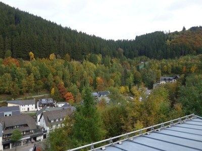 Apartment Große Ferienwohnung in Willingen mit Balkon - Outdoor photo 11