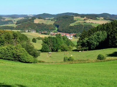 Apartment Wohnung mit Garten in Eimelrod - Environment photo 23