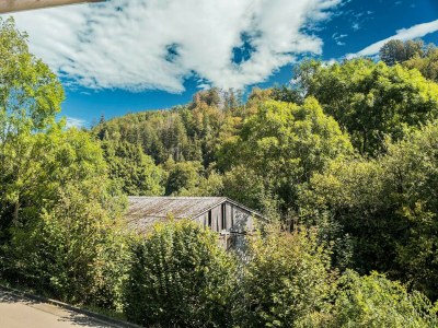 Apartment Ruhiges Apartment in Schwalefeld mit Garten - Outdoor photo 6