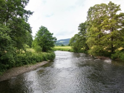 Holiday house Ferienhaus in Hessen mit großem Garten - Environment photo 25