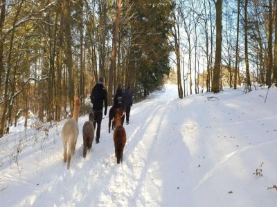 Holiday house Ferienhaus in Hessen mit großem Garten - Environment photo 30