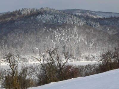 Holiday house Ferienhaus in Hessen mit großem Garten - Environment photo 40