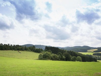 Villa WunderVilla in Hessen in Waldnähe - Environment photo 31