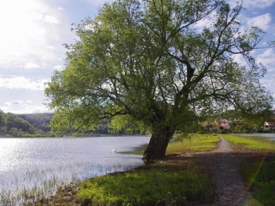 Villa WunderVilla in Hessen in Waldnähe - Environment photo 33