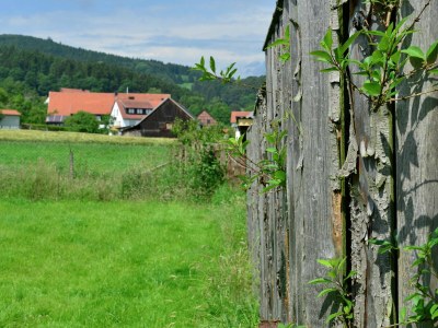 Holiday house Ferienhaus in Stormbruch mit Terrasse - Outdoor photo 38