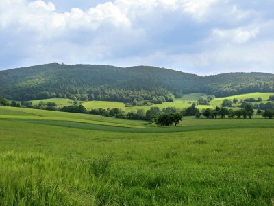 Apartment Apartment in Armsfeld mit Pool - Environment photo 24