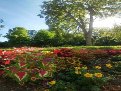 Apartment Apartment in Armsfeld mit Pool - Environment photo 25