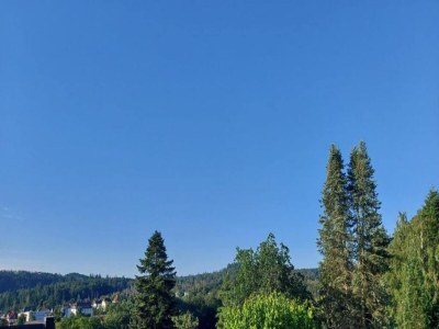 Apartment Apartment in Armsfeld mit Pool - Environment photo 29